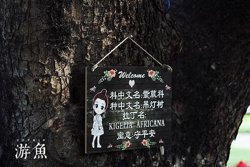 雨后初晴